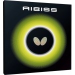 رویه راکت باترفلای AIBISS